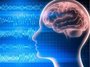 آشنایی با نقشه مغزی فرد افسرده