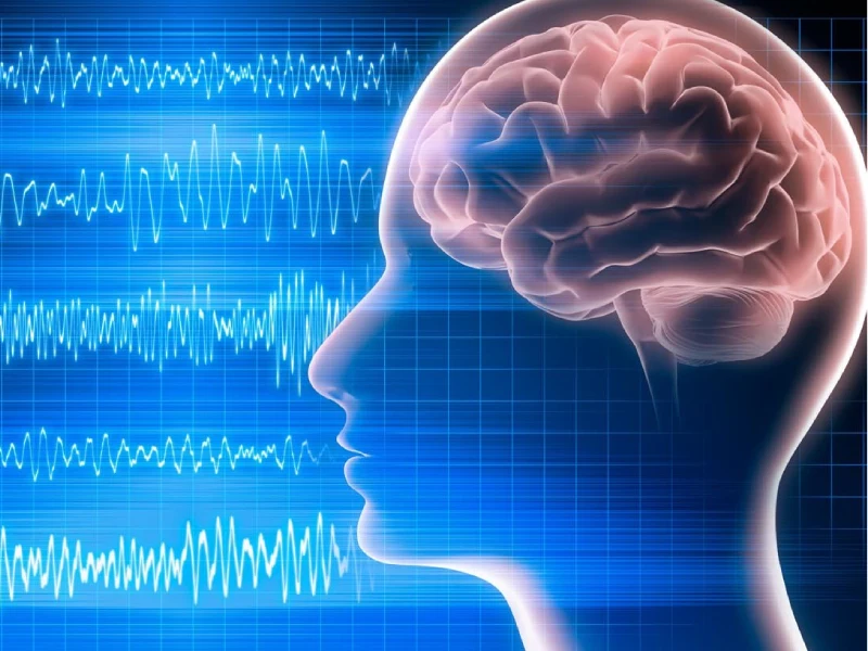 آشنایی با نقشه مغزی فرد افسرده