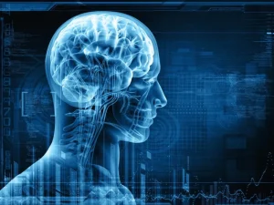 آشنایی با تفاوت‌های ام‌آر‌آی و نوار مغز